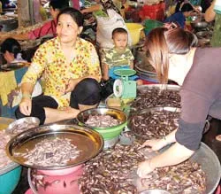 Mùa nước son