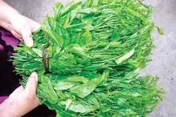 Từ làng đến phố ảnh 2