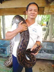 Từ làng đến phố