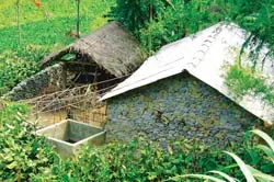 Sống chết với đá ảnh 2