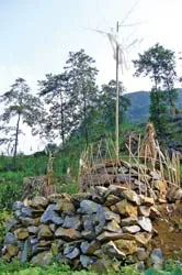 Sống chết với đá ảnh 6