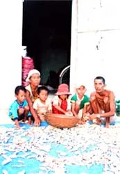 Nỗi đau “trở về”