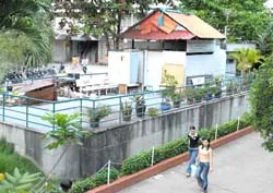 Sẽ bị xử “mạnh tay”