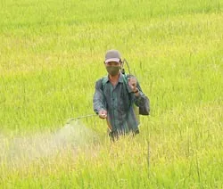 Hết sức nghiêm trọng!