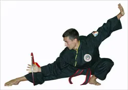 Võ cổ truyền Việt Nam: Phiên bản của võ Trung Quốc? ảnh 1