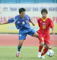 Bắt đầu giai đoạn tập huấn ảnh 1