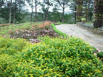 Welcome to Da Lat Flower Festival 2007! ảnh 1
