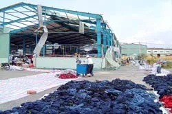 Các doanh nghiệp chỉ hoạt động 50% công suất