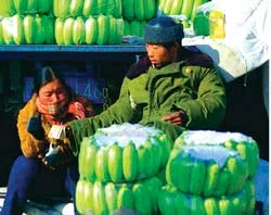 Trước và sau  WTO ảnh 2