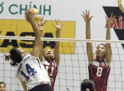 Khó ngăn nổi đương kim vô địch ! ảnh 1