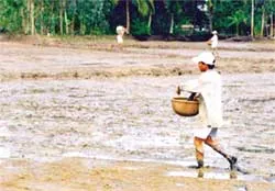 Đội đặc nhiệm chống “xé rào”