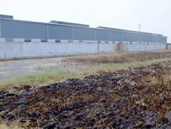 Đất phù sa đang biến thành đất chết