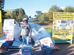 Người phụ nữ của Hòa bình