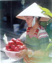 WTO – Thêm khó khăn cho trái cây Việt Nam ảnh 2