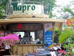 Hà thành chào đón APEC ảnh 2