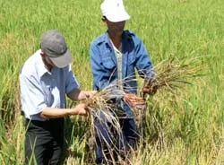 Báo động nguy cơ đại dịch