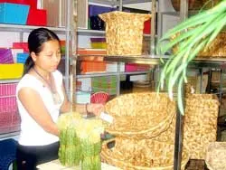 HTX Mây tre lá Ba Nhất ký nhiều hợp đồng xuất khẩu dài hạn đến 2010