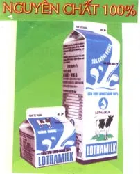 LOTHAMILK Sữa tươi nguyên chất 100%
