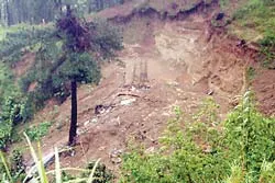 Ít nhất 15 người thiệt mạng vì bão Cimaron