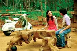 Luồng gió mới từ “Tuyết nhiệt đới”