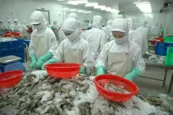 Đề nghị chỉ kiểm tra và đình chỉ nhập khẩu doanh nghiệp nào vi phạm