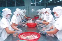 Bộ Thủy sản và các doanh nghiệp chạy nước rút
