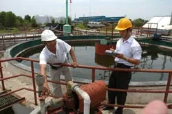 “Rào cản xanh” và yếu tố sống còn của doanh nghiệp