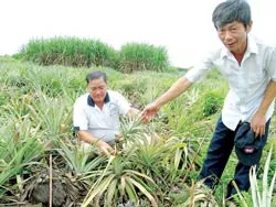 18 hộ dân khó trả nợ