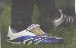 Những mẫu chuyện thể thao ảnh 1