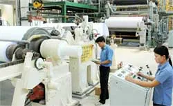 Giấy Tân Mai chuẩn bị lên sàn chứng khoán