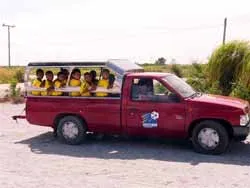 Bài 2 : Học trò ở JMG ảnh 1