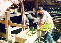 Anh Nố vượt lên cái nghèo