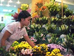 Bên lề APECGần 70.000 bông hoa các loại cho APEC