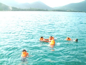 Ready for an Adventure Under the Sea? ảnh 1