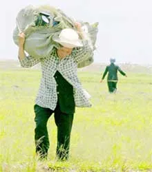 Mùa nước nổi, “tràn lan” chuyện buôn lậu