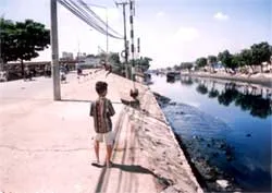 Xây cầu nhưng không xây thành chắn