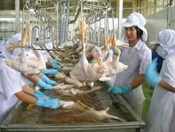 Cảnh báo về sự chủ quan và thiếu đồng bộ