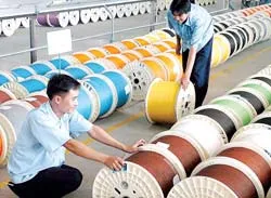 SCC: Sản xuất 1,6 triệu km đôi dây cáp viễn thông/năm