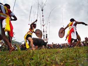 Buffalo Sacrifice Festival in Central Highlands ảnh 2