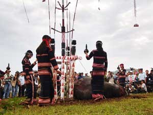Buffalo Sacrifice Festival in Central Highlands ảnh 4