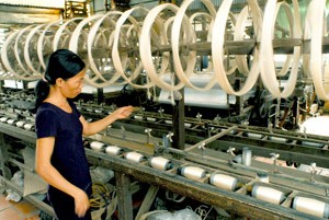 Tan Chau Silk Recovers Centuries-Long Glory ảnh 2