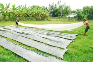 Tan Chau Silk Recovers Centuries-Long Glory ảnh 3