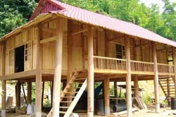 Từ Làng đến... Phố