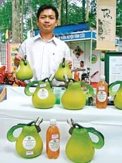 Từ Làng đến... Phố ảnh 2