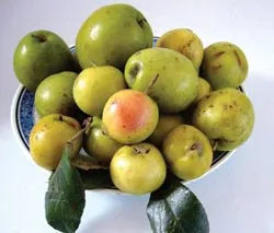 Từ Làng đến... Phố ảnh 6