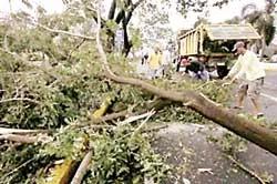 Khoảng 400 tàu VN còn ngoài khơi ảnh 2