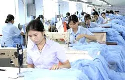 Dệt May Phước Long trúng thầu cung cấp mùng trị giá 2 triệu USD