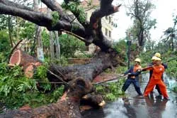 Thủ tướng Nguyễn Tấn Dũng thăm nhân dân vùng bão ảnh 3