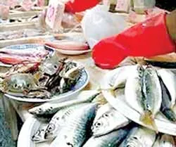 Phát hiện cá nhiễm kháng sinh gây ung thư