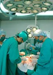 Hội nhập và phát triển